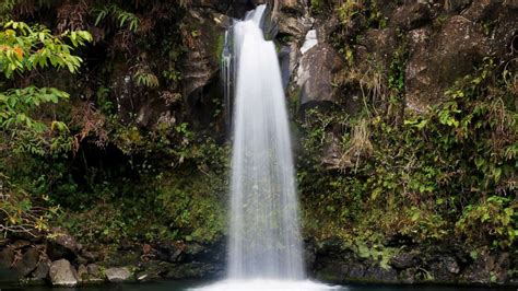 Woman Survives 50 Foot Drop Down Hawaiian Waterfall Captures It On