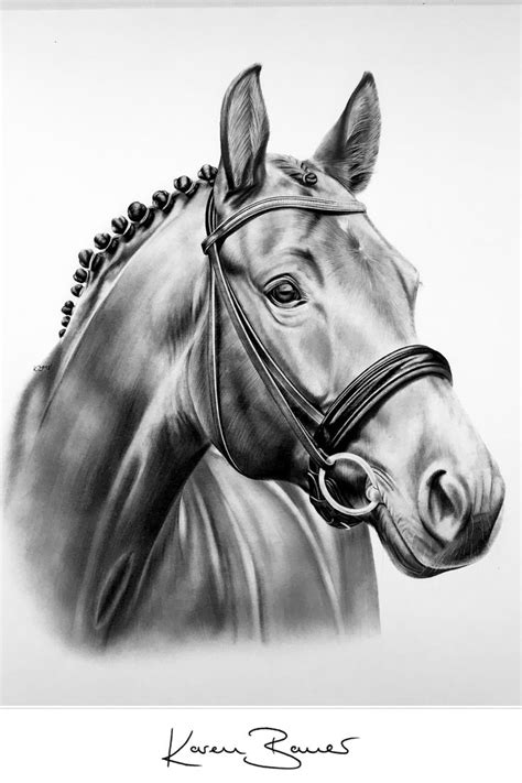 Pferdezeichnung Mit Bleistift Zeichnungen Tiere Pferd Pferde Zeichnen