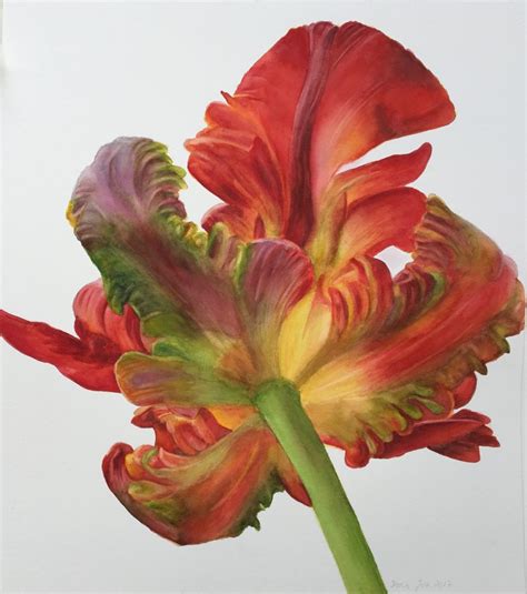 Parrot Tulip Botanical Art Flower Painting On White