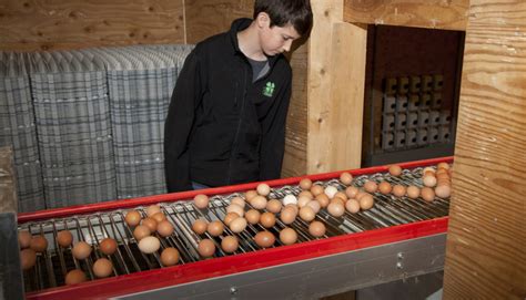 Start Clean Stay Clean Egg Farmers Of Nova Scotia