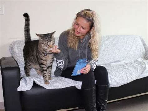 Emotional support animals can be a dog, cat, or any other species the therapist deems appropriate. Emotional support cat lives with college freshman in ...