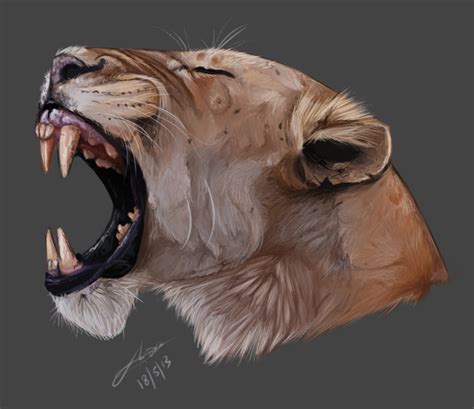 Start the drawing of the lion's face by first breaking it down into more basic shapes. Lion head - drawing by Rametic on DeviantArt