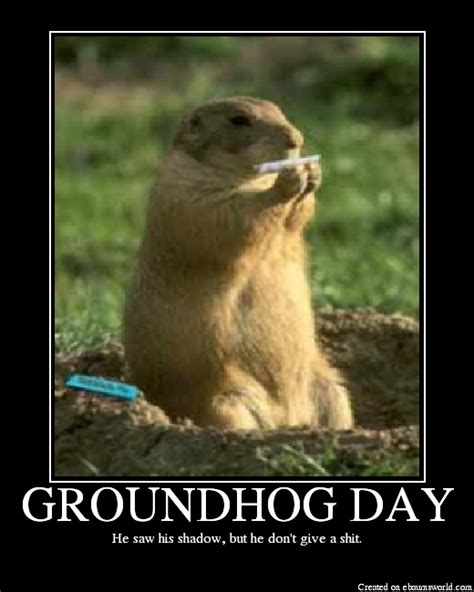 Funny Quotes About Groundhog Day Quotesgram