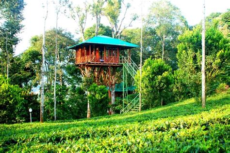 Dream Catcher Plantation Resort Munnar Kerala Hotel Reviews Tripadvisor