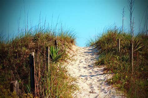 Steep Beach Path Photograph By Cynthia Guinn Pixels