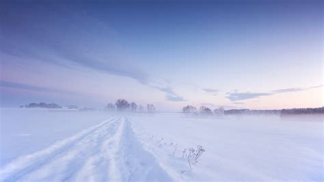 49 4k Winter Wallpaper On Wallpapersafari