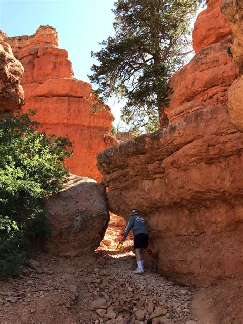 Red Canyon In Dixie National Forest Utah Sharing Horizons