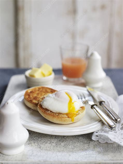 Poached Egg On English Muffin Stock Image C0533313 Science Photo
