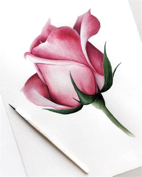 Ещё одна роза🎨🌹 In 2020 Pencil Drawings Of Flowers Realistic Flower