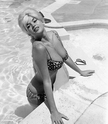 JAYNE MANSFIELD PHOTO X 47 EBay