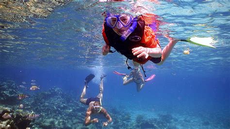 Diving Underwater Activities Memugaa