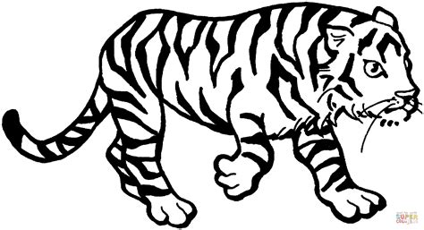 Ausmalbild Tiger Streunt Durchs Revier Ausmalbilder Kostenlos Zum