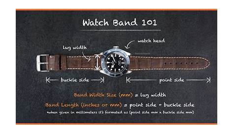 Watch Band Measuring Guide