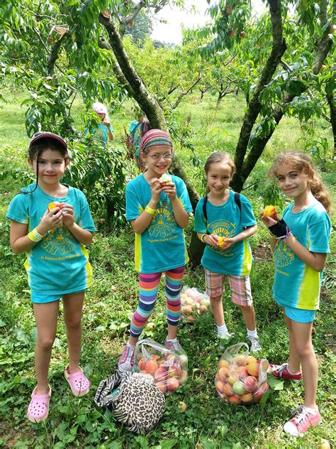 Fair Lawn Jewish Day Camp Camp Families