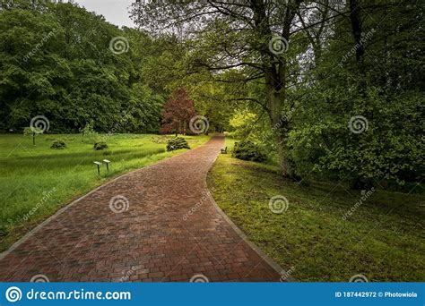 Green Spring In The Park Stock Photo Image Of Peaceful 187442972