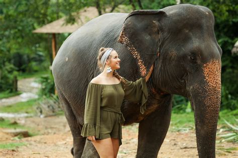 elephants phang nga thailand — tori artis photography