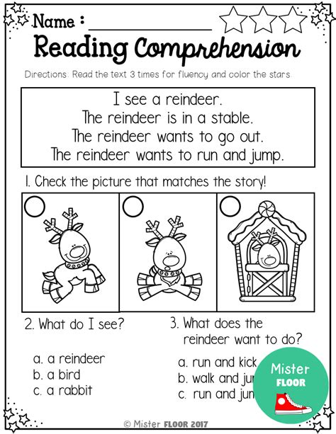 Winter Comprehension Passages Text Based Evidence 2nd Grade Reading