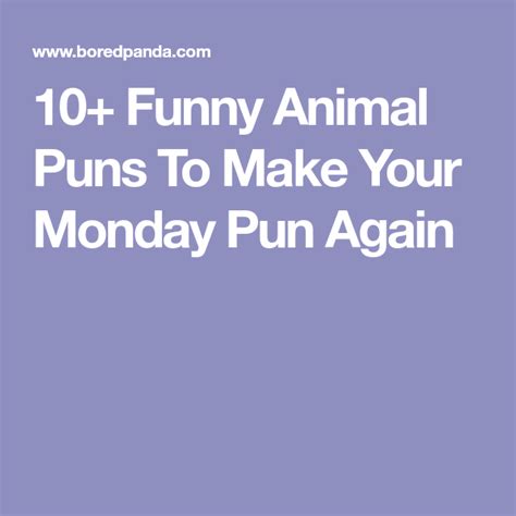 10 Funny Animal Puns To Make Your Monday Pun Again Animal Puns Funny