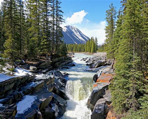 The 10 Best British Columbia Waterfalls Updated 2023 Tripadvisor