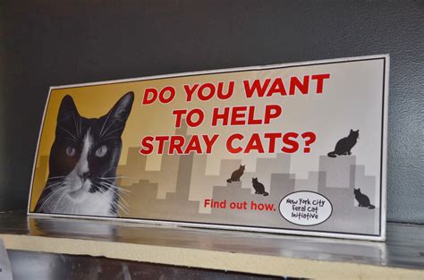 Animal shelters by location, find the animal shelter nearest you. Riverfront Cats, Downtown Miami: NYC Architects Build Cat ...