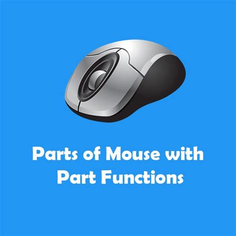 Parts Of A Mouse And Their Functions