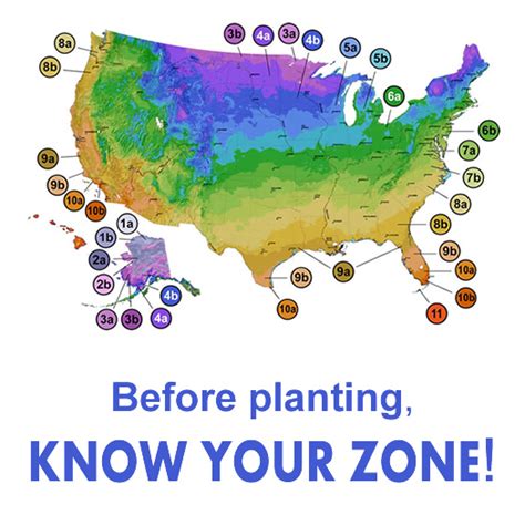 Midwest Gardening Zones Tutorial Pics