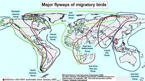 Map Showing The Global Routes Of Migratory Birds Download Scientific