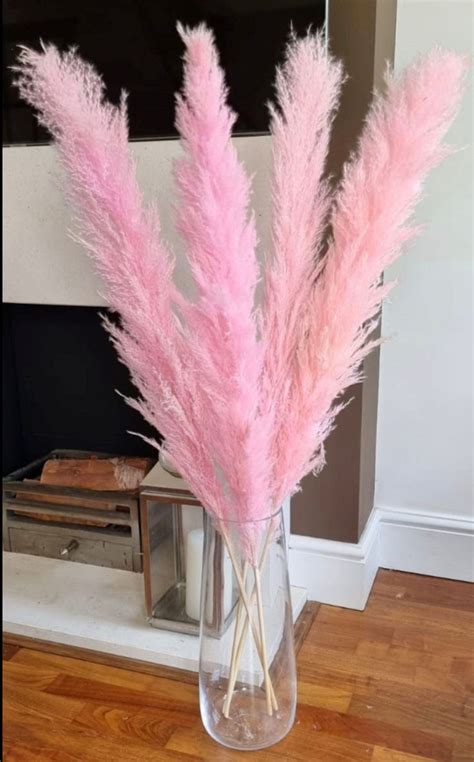 4pcs Tall Pampas Grass 3 4ft Grand Sale Dry Florals For Etsy Pink