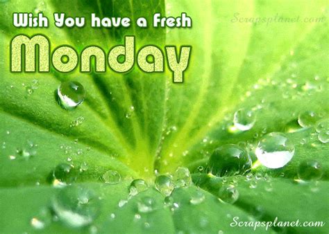 Wish You Have A Fresh Monday Pictures Photos And Images For Facebook