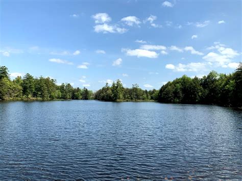 County Route 17A, Williamstown, NY 13493 | MLS: 11051635 | LandWatch