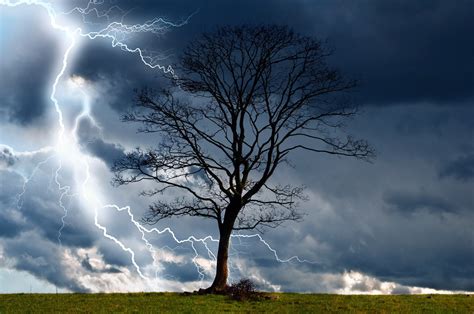 Bare Tree Trees Storm Sky Lightning Hd Wallpaper Wallpaper Flare