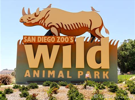 A Trip To The San Diego Wild Animal Park Thrumylens