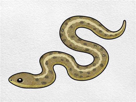 Garter Snake Drawing Helloartsy