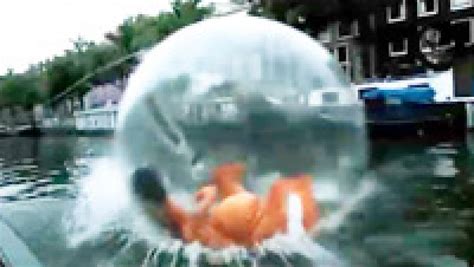 Giant Hamster Ball Video Askmen