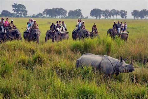 Kaziranga National Park Tour Wildlife Tour Package 2022