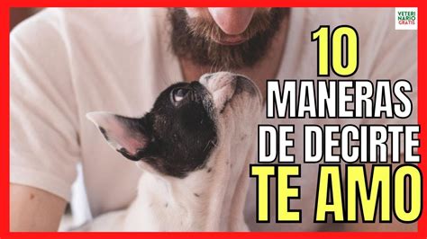 💖 10 Maneras En Que Tu Perro Te Dice Te Quiero 💖 SeÑales De Que Tu