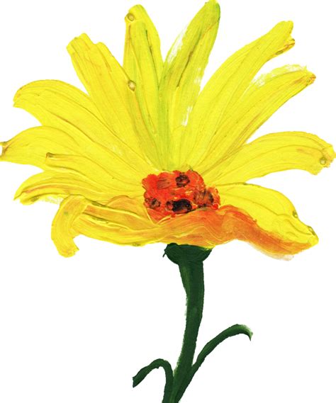 12 Simple Painted Flower Png Transparent