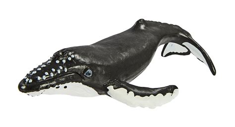 Safari Ltd Wild Safari Sea Life Humpback Whale Realistic Hand