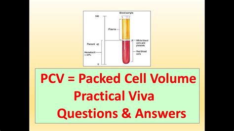 Pcv Test L Packed Cell Volume L Practical Viva L Haematocrit Youtube