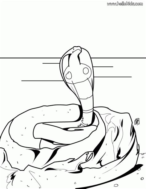 Make a coloring book with cute snake for one click. Realistic Snake Coloring Pages - Coloring Home