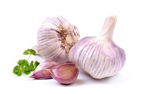 Garlic Extract Reverses Heart Disease My Interview With Dr Budoff