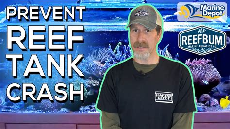 Reef Tank Crash Prevention Tips And Backups To Prevent Disaster With