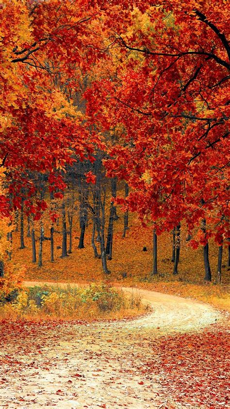 15 Fall Iphone Xs Wallpapers Best Autumn Backgrounds Autumn Scenery