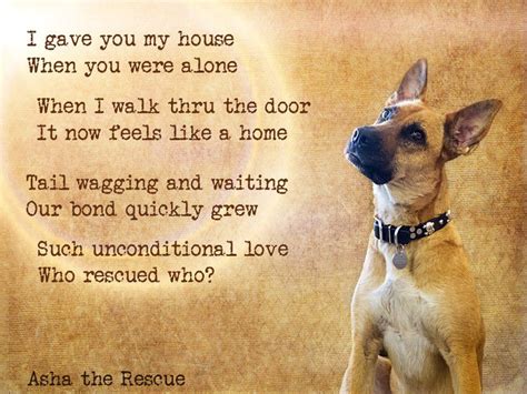 Who Rescued Who Dog Poems Dog Quotes Dog Love