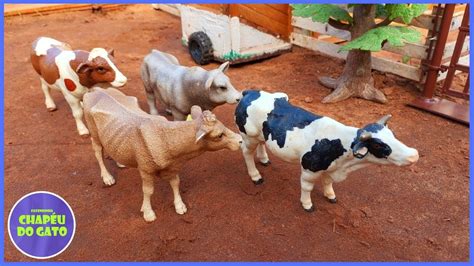 Incrível Touro Foge Enquanto Levamos as Vacas para a Mangueira YouTube