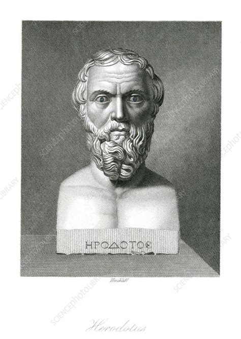 Herodotus Greek Historian Artwork Stock Image H4080505 Science