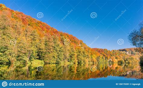 Colorful Autumn Forest At The Bavarian River Naab Near To Regensburg