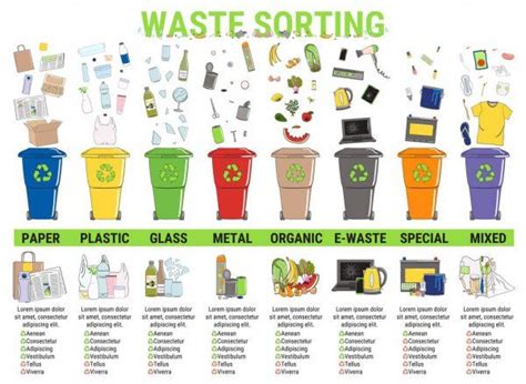 Waste Infographic Sorting Garbage Segregation Recycling Infographics