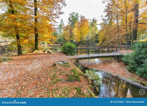 Forest Pond With Bridge In Autumn Colors Stock Image Image Of Dirt