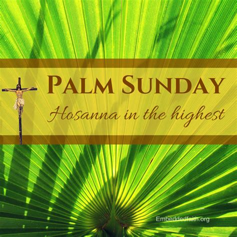 The event takes place on the sunday. Palm Sunday Images - Embedded Faith